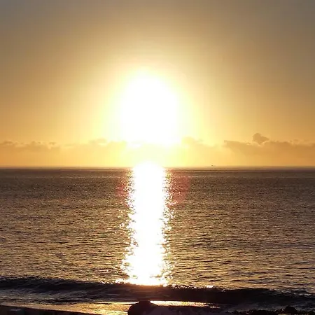 Loro * Playa Honda (Lanzarote)