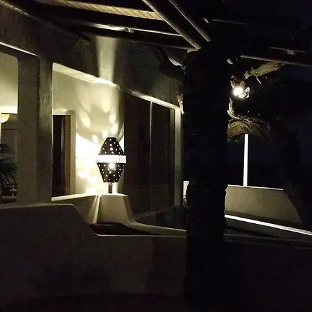 Loro * Playa Honda (Lanzarote)