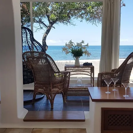 Loro Playa Honda (Lanzarote)