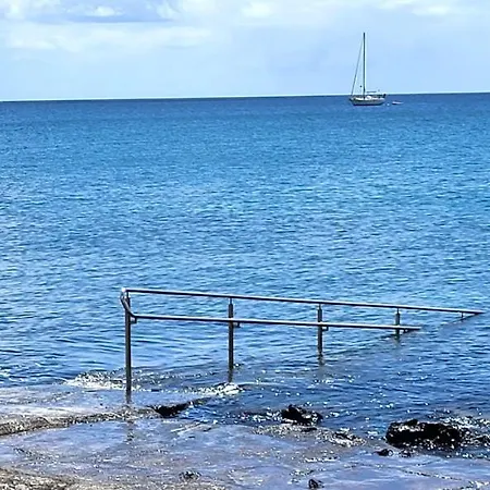 Loro Willa Playa Honda (Lanzarote)